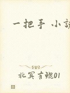 一把手 小说