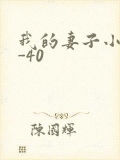 我的妻子小谨1-40