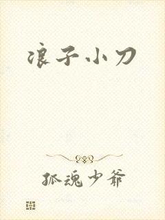 浪子小刀