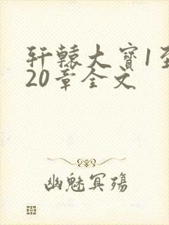 轩辕大宝1至720章全文