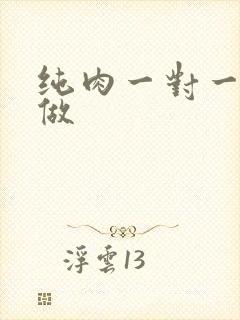 纯肉一对一到处做