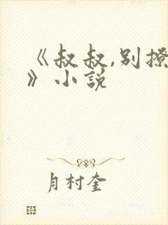 《叔叔,别撩我》小说