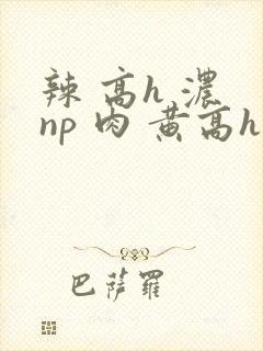 辣 高h 浓 np 肉 黄高h