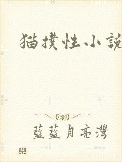 猫扑性小说