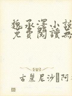 魏承泽小说全文免费阅读无弹窗笔趣