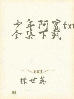 少年阿宾txt全集下载