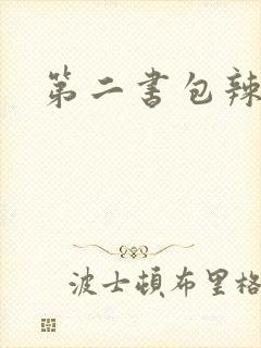 第二书包辣文