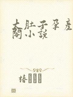 大肚子孕产笔趣阁小说