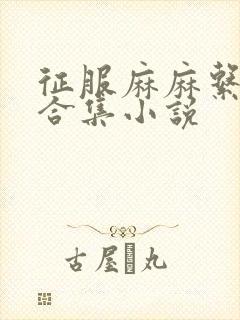 征服麻麻系列大合集小说