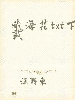 藏海花txt下载