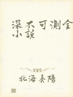 深不可测金银花小说