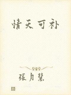 情天可补