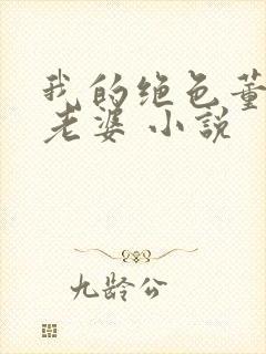 我的绝色董事长老婆 小说