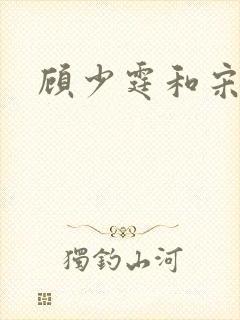 顾少霆和宋斯曼