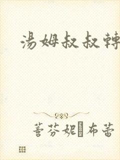 汤姆叔叔转接口