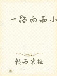 一路向西小说