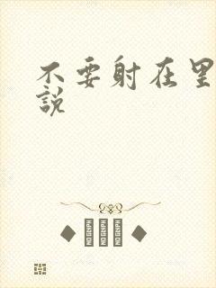 不要射在里面小说