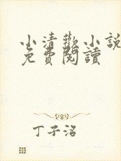 小清欢小说全文免费阅读