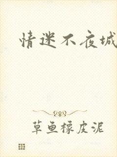 情迷不夜城