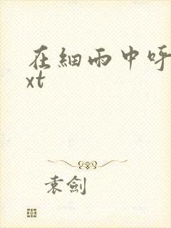 在细雨中呼喊txt