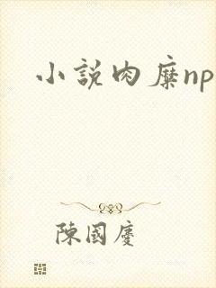 小说肉糜np