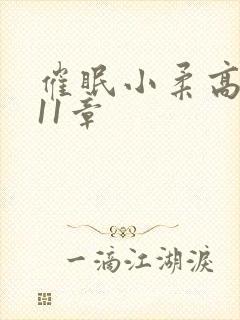 催眠小柔高达第11章