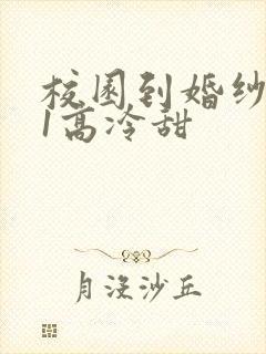 校园到婚纱1V1高冷甜