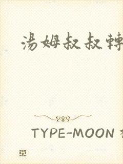 汤姆叔叔转接口