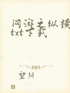 网游之纵横天下txt下载