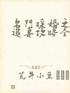 名门暖婚之权爷追妻攻略全文免费阅读