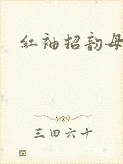 红袖招韵母攻略