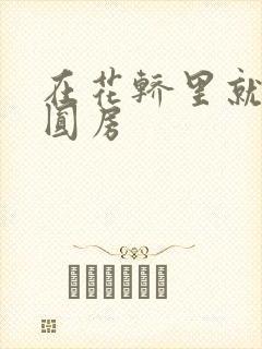 在花轿里就开始圆房