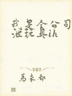 我是全公司的发泄玩具ih