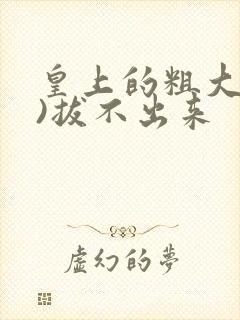 皇上的粗大(h)拔不出来