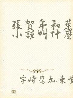 张贺年和叶繁姿小说叫什么名字