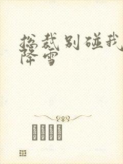 总裁别碰我 韩降雪