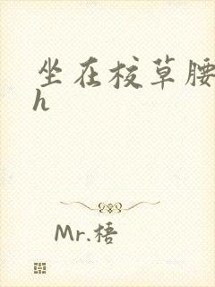 坐在校草腰上动h