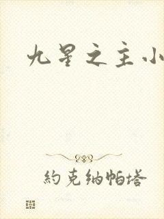 九星之主小说