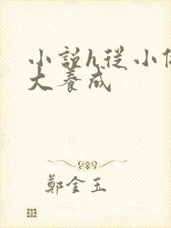 小说h从小做到大养成