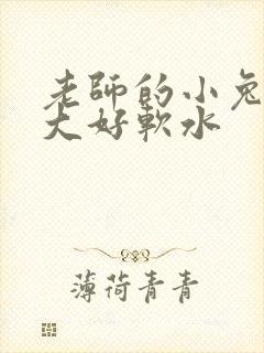 老师的小兔子好大好软水
