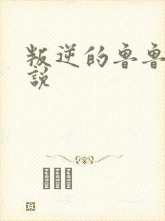 叛逆的鲁鲁修小说