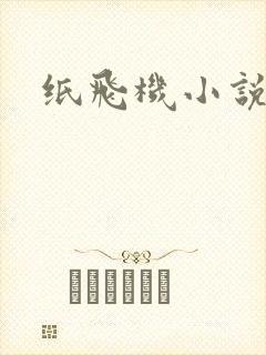 纸飞机小说
