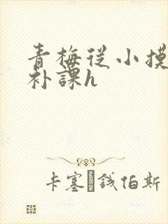 青梅从小摸到大补课h