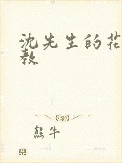 沈先生的花式调教