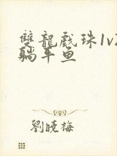 双龙戏珠1v2躺平鱼