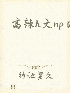 高辣h文np爽