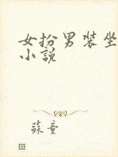 女扮男装坐江山小说