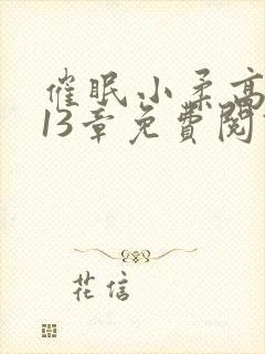 催眠小柔高达第13章免费阅读