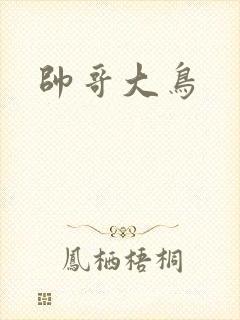 帅哥大鸟