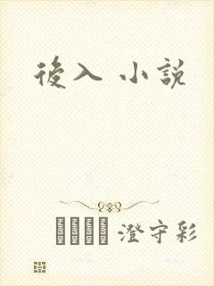 后入 小说